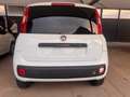Fiat Panda Panda 0.9 t.air t. natural power Easy 80cv my19 Blanc - thumbnail 20