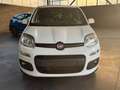 Fiat Panda Panda 0.9 t.air t. natural power Easy 80cv my19 Bianco - thumbnail 7