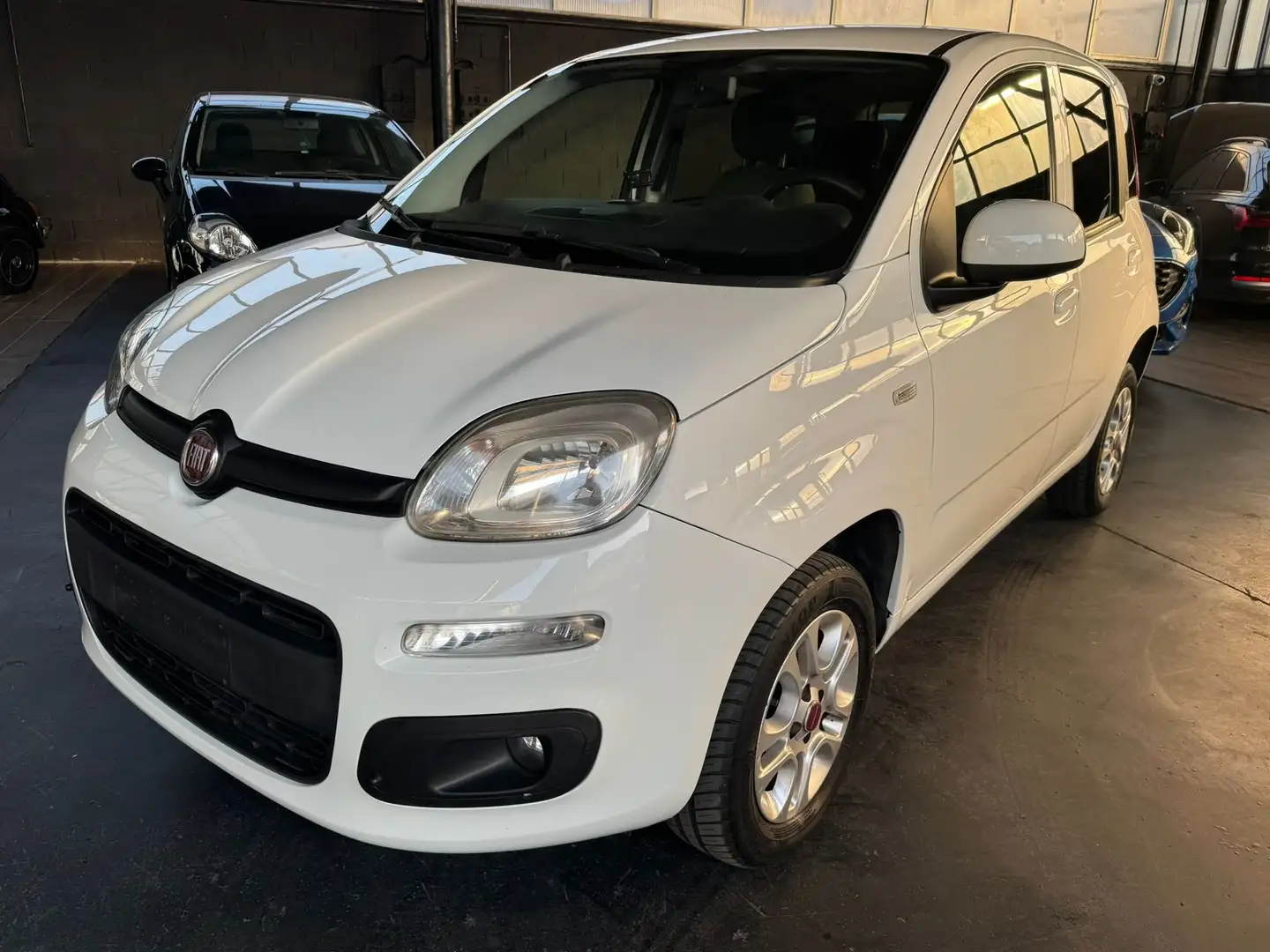 Fiat Panda Panda 0.9 t.air t. natural power Easy 80cv my19 Bianco - 2