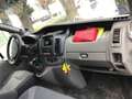 Renault Trafic Trafic Gen. Expr. L1H1 2,0 dCi DPF Expression Weiß - thumbnail 4