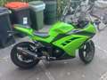 Kawasaki Ninja 300 Verde - thumbnail 1