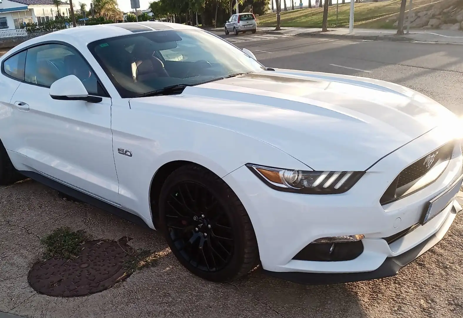 Ford Mustang Mustang Fastback 5.0 Ti-VCT GT Aut. GT Blanco - 1