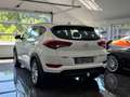 Hyundai TUCSON Trend 2WD/1.Hand/AHK/Navi/Kamera Blanc - thumbnail 8