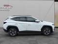 Hyundai TUCSON Tucson 1,6 T-GDI 48V 2WD Jubilé Weiß - thumbnail 4