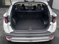 Hyundai TUCSON Tucson 1,6 T-GDI 48V 2WD Jubilé Weiß - thumbnail 11