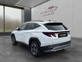 Hyundai TUCSON Tucson 1,6 T-GDI 48V 2WD Jubilé Weiß - thumbnail 5