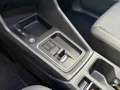 Ford Tourneo Connect 1.5 EcoBoost Aut. Titanium AHK, ACC, NAVI, SYNC4 Gris - thumbnail 21