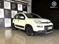 Fiat Panda Panda 1.0 firefly hybrid City Life s Blanc - thumbnail 4