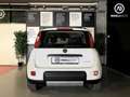 Fiat Panda Panda 1.0 firefly hybrid City Life s Blanc - thumbnail 5