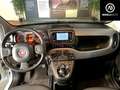 Fiat Panda Panda 1.0 firefly hybrid City Life s Blanc - thumbnail 8