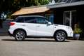 Suzuki Vitara 1.6 Exclusive Climate I Cruise I LM Velgen I Camer Weiß - thumbnail 17