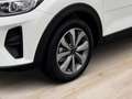 Kia Stonic Vision 1.2 Navigation, Kamera Bianco - thumbnail 12