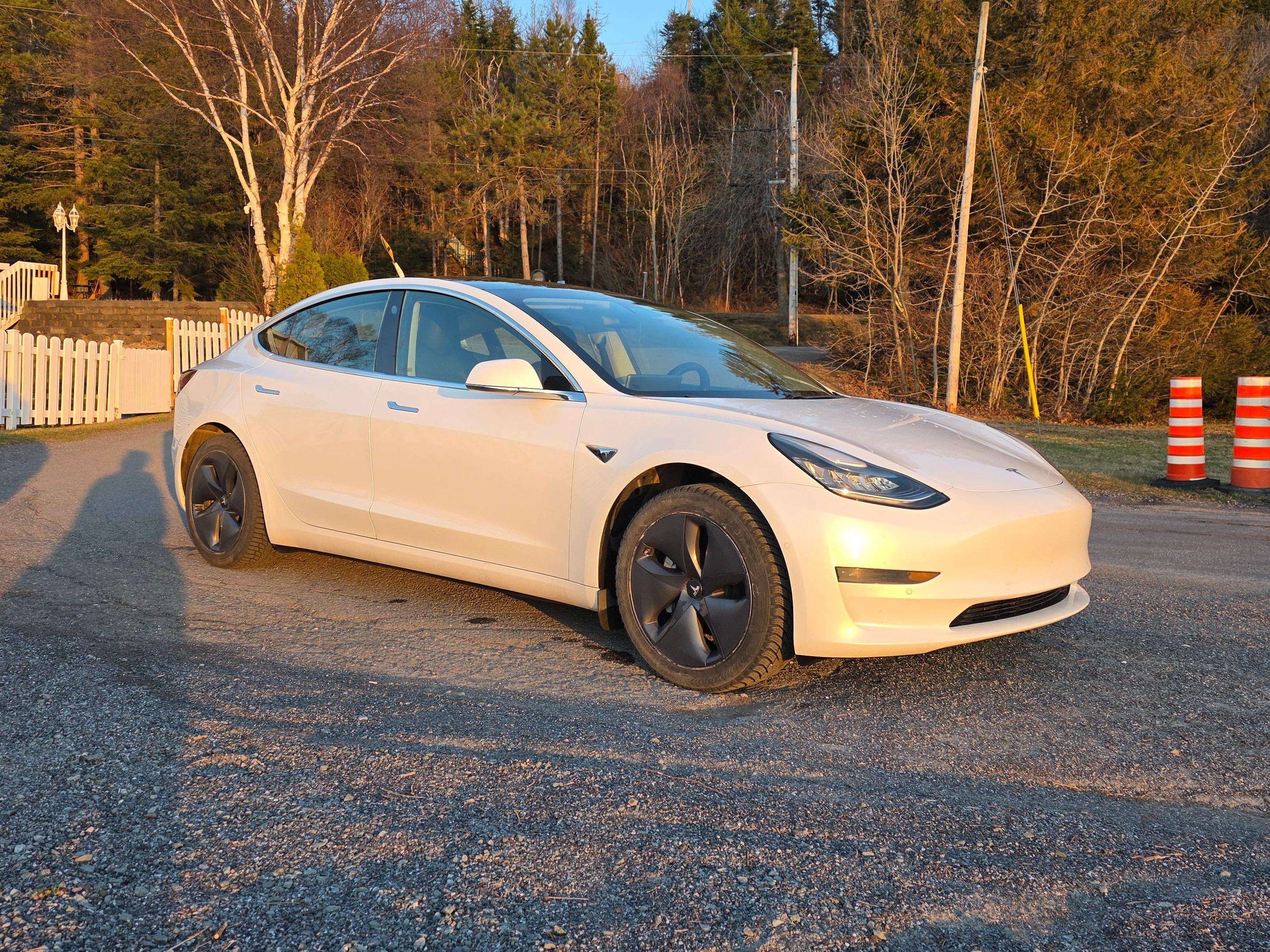 2019 Tesla Model 3 Standard Range Plus alt 2