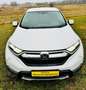Honda CR-V 2.0 i-MMD HYBRID 2WD Elegance Weiß - thumbnail 2