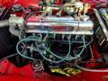 Triumph TR4 A irs Rosso - thumbnail 6