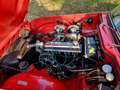 Triumph TR4 A irs Rosso - thumbnail 8