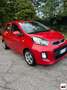 Kia Picanto 1.0 12V 5p. Glam Blanc - thumbnail 2