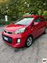 Kia Picanto 1.0 12V 5p. Glam Blanc - thumbnail 5