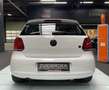 Volkswagen Polo 1.2 TSI DSG!! 102DKM!! UNIEK!! CLIMA!! Weiß - thumbnail 11