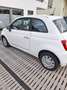 Fiat 500 - thumbnail 2