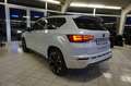 CUPRA Ateca ATECA 1,5 TSI DSG SHZ ACC PANO KAMERA ALCANTARA 19 Weiß - thumbnail 3
