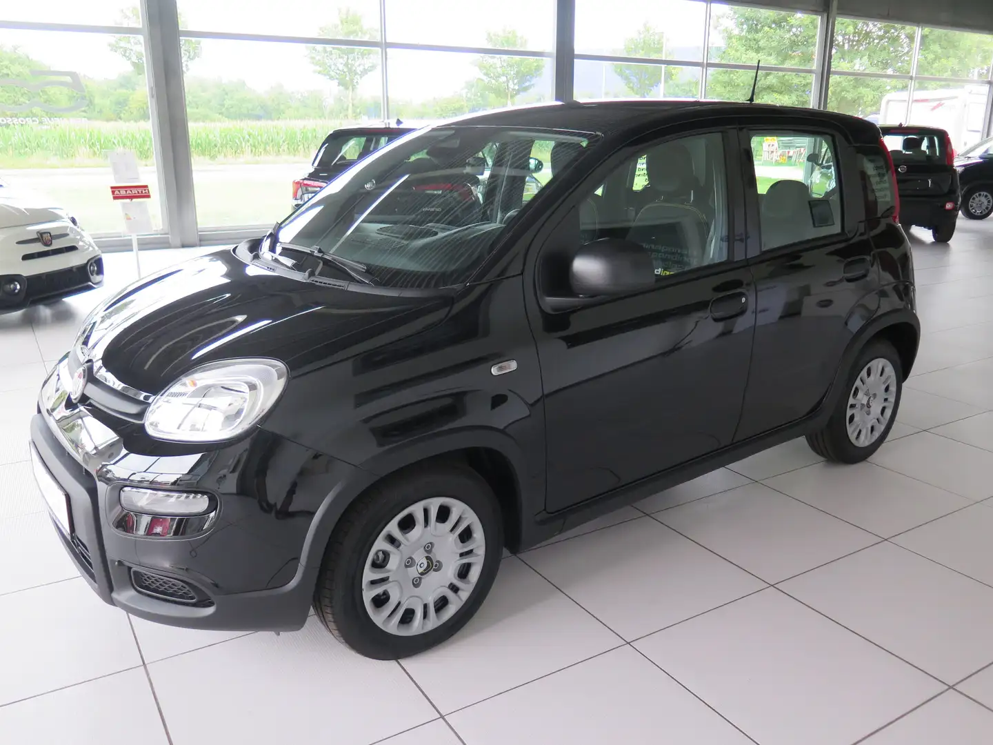 Fiat Panda Pandina Schwarz - 1