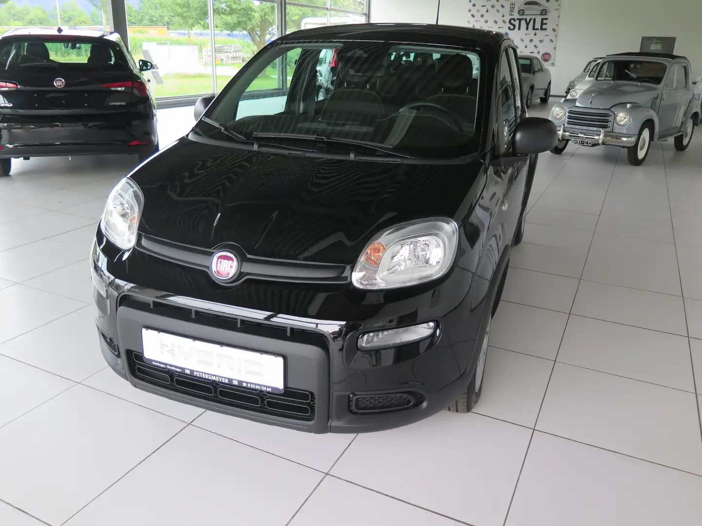 Fiat Panda Pandina Schwarz - 2