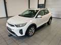 Kia Stonic 1.0 T-GDI Vision|Navi|CarPlay|Sitzhzg Weiß - thumbnail 3