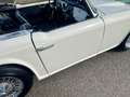 Triumph TR4 OVERDRIVE - thumbnail 12