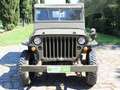 Jeep Willys 1.9 AUTOCARRO Verde - thumbnail 2