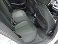 BMW 116 D BERLINA BUSINESS ADVANTAGE AUTOMATICO Argent - thumbnail 18