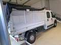 Fiat Ducato Maxi Pack 3.5 L 2.3 Multijet 150 Euro 6 III CHASSIS DOUBLE CABINE Blanc - thumbnail 3