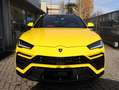 Lamborghini Urus 4.0 V8 Rosso - thumbnail 2