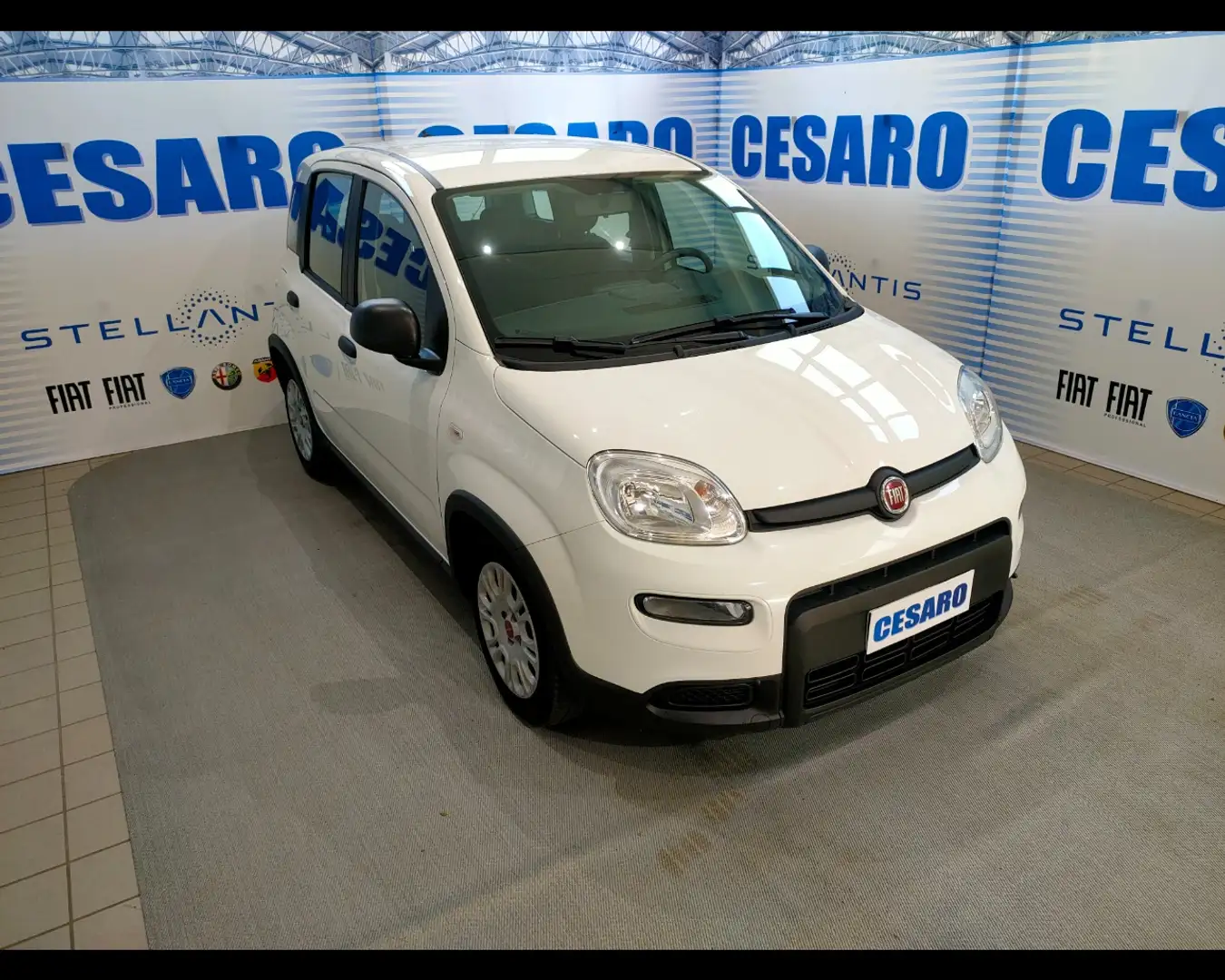 Fiat New Panda 1.0 FireFly Hybrid Bianco - 1