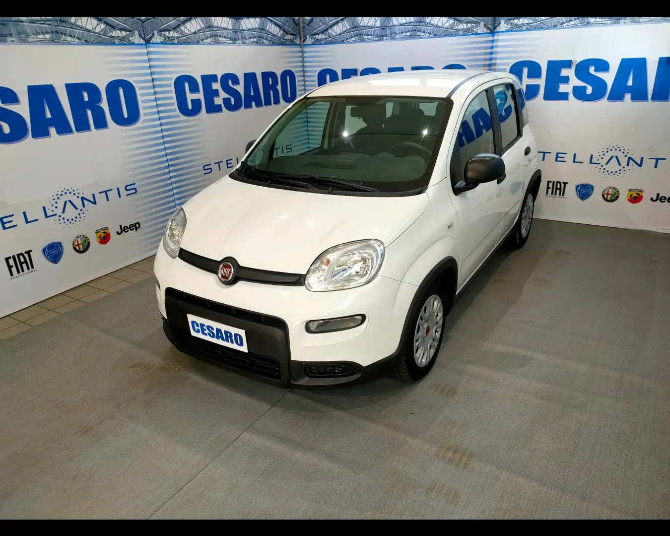 Fiat New Panda 1.0 FireFly Hybrid Bianco - 2