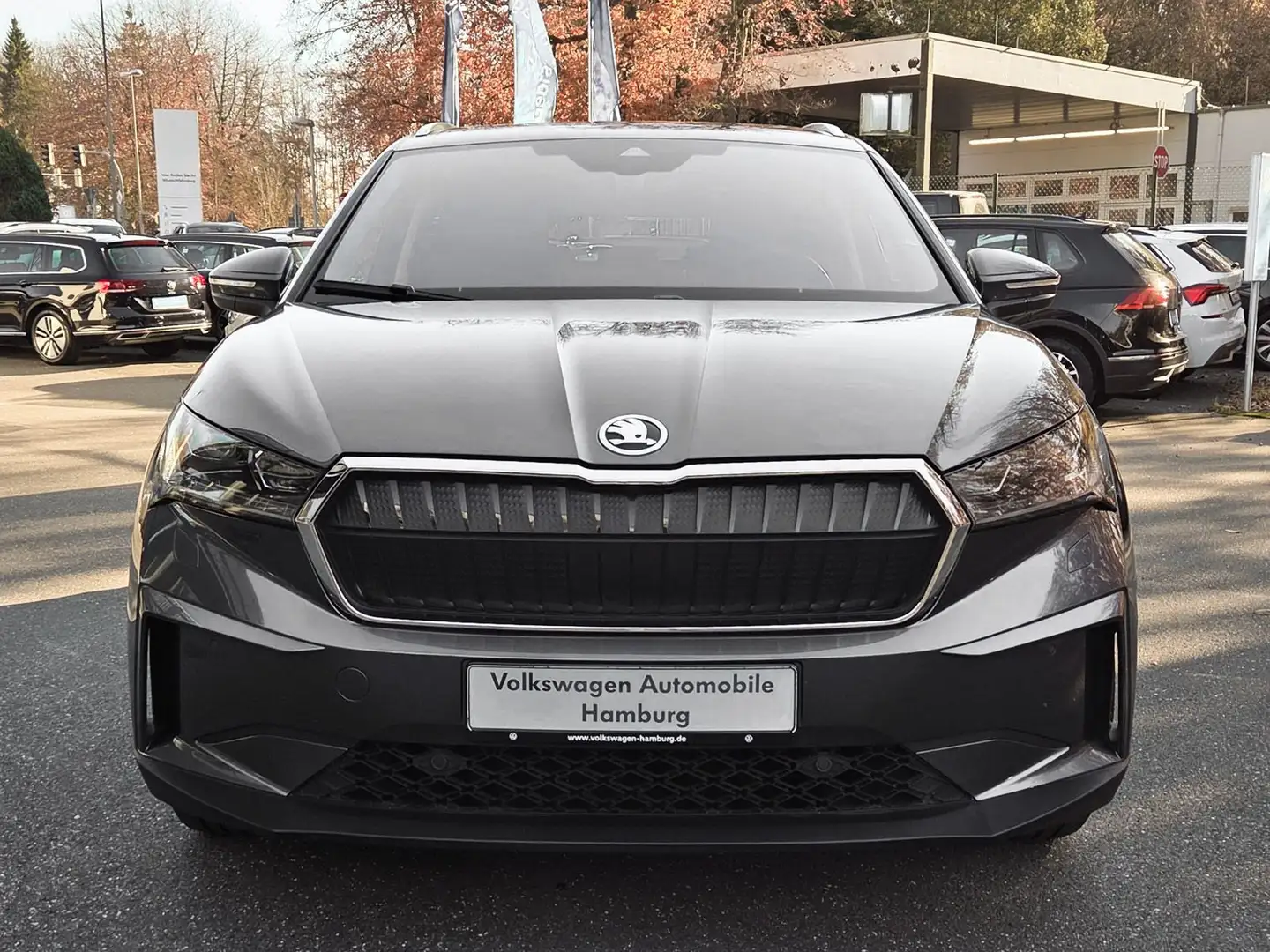 Skoda Enyaq iV 80 Suite LED AHK Panoramadach Rückfahrk Grau - 2
