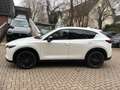 Mazda CX-5 184 AWD Automatik Homura Leder AHK Weiß - thumbnail 16