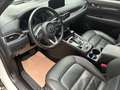 Mazda CX-5 184 AWD Automatik Homura Leder AHK Weiß - thumbnail 24