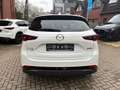 Mazda CX-5 184 AWD Automatik Homura Leder AHK Weiß - thumbnail 14