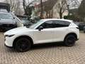 Mazda CX-5 184 AWD Automatik Homura Leder AHK Weiß - thumbnail 17