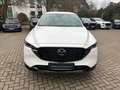 Mazda CX-5 184 AWD Automatik Homura Leder AHK Weiß - thumbnail 5