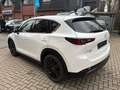 Mazda CX-5 184 AWD Automatik Homura Leder AHK Weiß - thumbnail 15