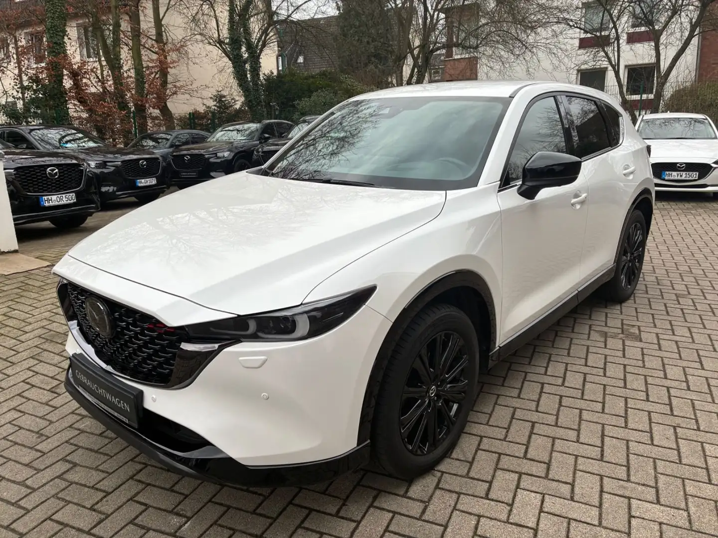 Mazda CX-5 184 AWD Automatik Homura Leder AHK Weiß - 1