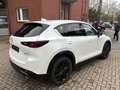Mazda CX-5 184 AWD Automatik Homura Leder AHK Weiß - thumbnail 11