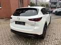 Mazda CX-5 184 AWD Automatik Homura Leder AHK Weiß - thumbnail 12