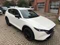 Mazda CX-5 184 AWD Automatik Homura Leder AHK Weiß - thumbnail 7