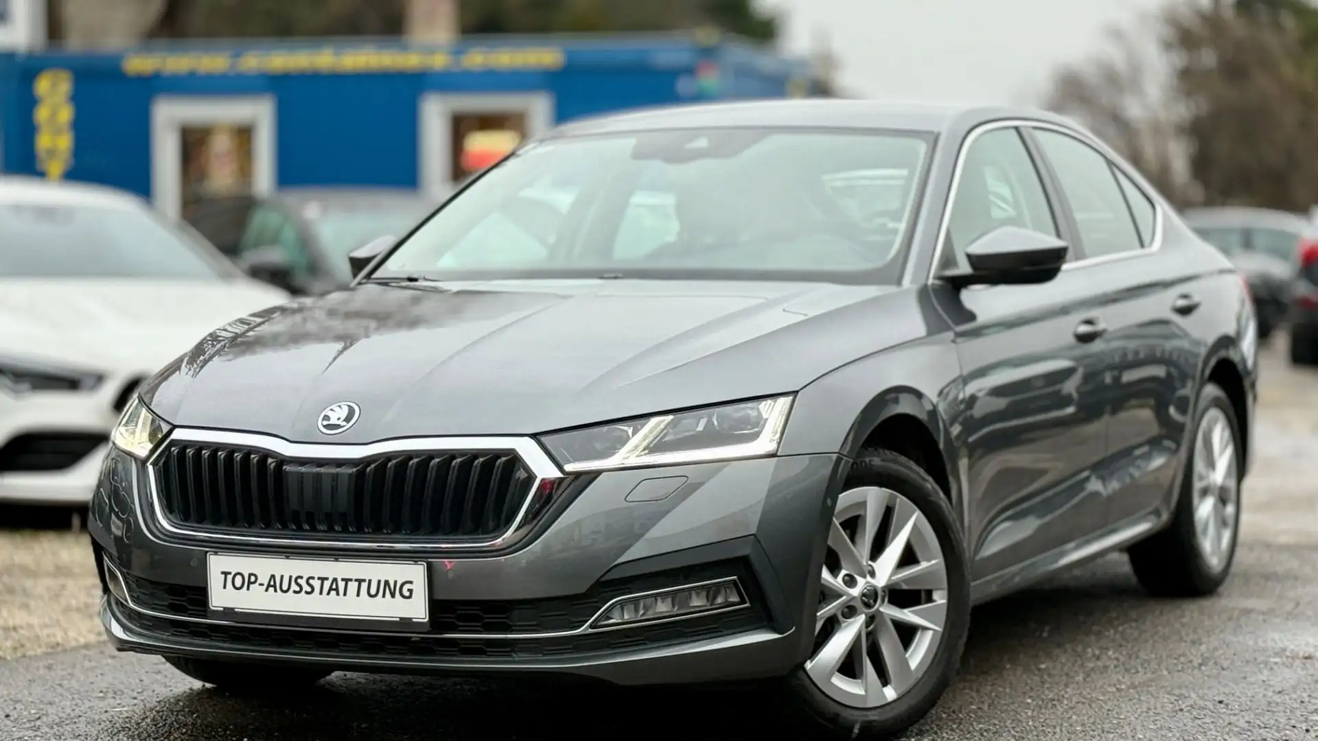 Skoda Octavia 2,0 TDI *Top-Ausstattung +Mit Garantie Style Grau - 1