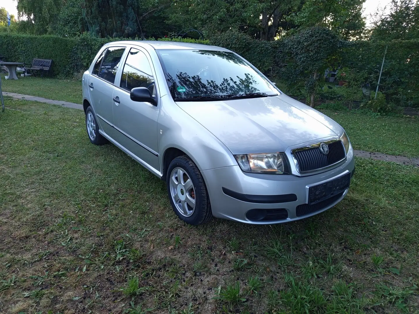 Skoda Fabia Classic Grau - 1