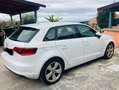 Audi A3 A3 Sportback 2.0 tdi Ambition Edition 4 150cv my16 Bianco - thumbnail 1