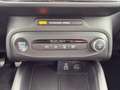 Ford Focus Turnier ST-Line 1.0 EcoBoost *ACC*NAVI*LED* Negro - thumbnail 21